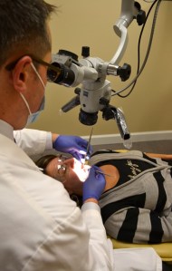 Photo of an Endodontist performing an Endodontic Retreatment